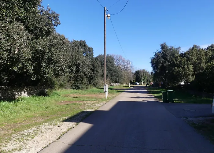 Family Near Petrcane - Quiet & - Unit 2 Appartamento Gornje Petrcane